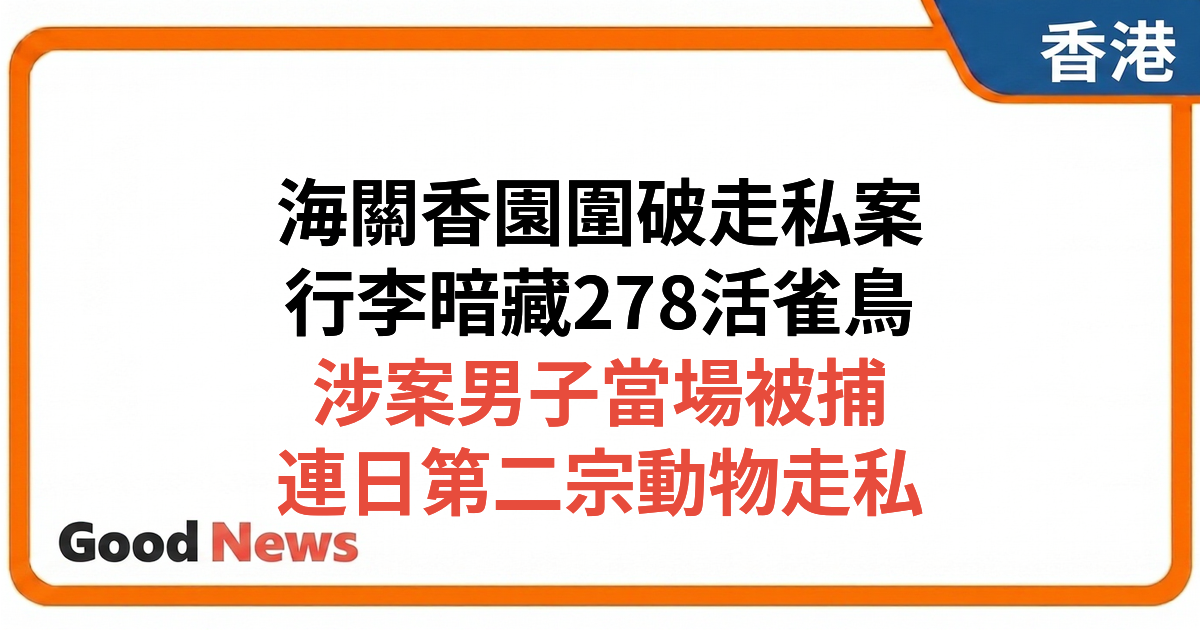 香園圍口岸破獲活鳥走私案 278隻雀鳥藏行李內 33歲男子被捕