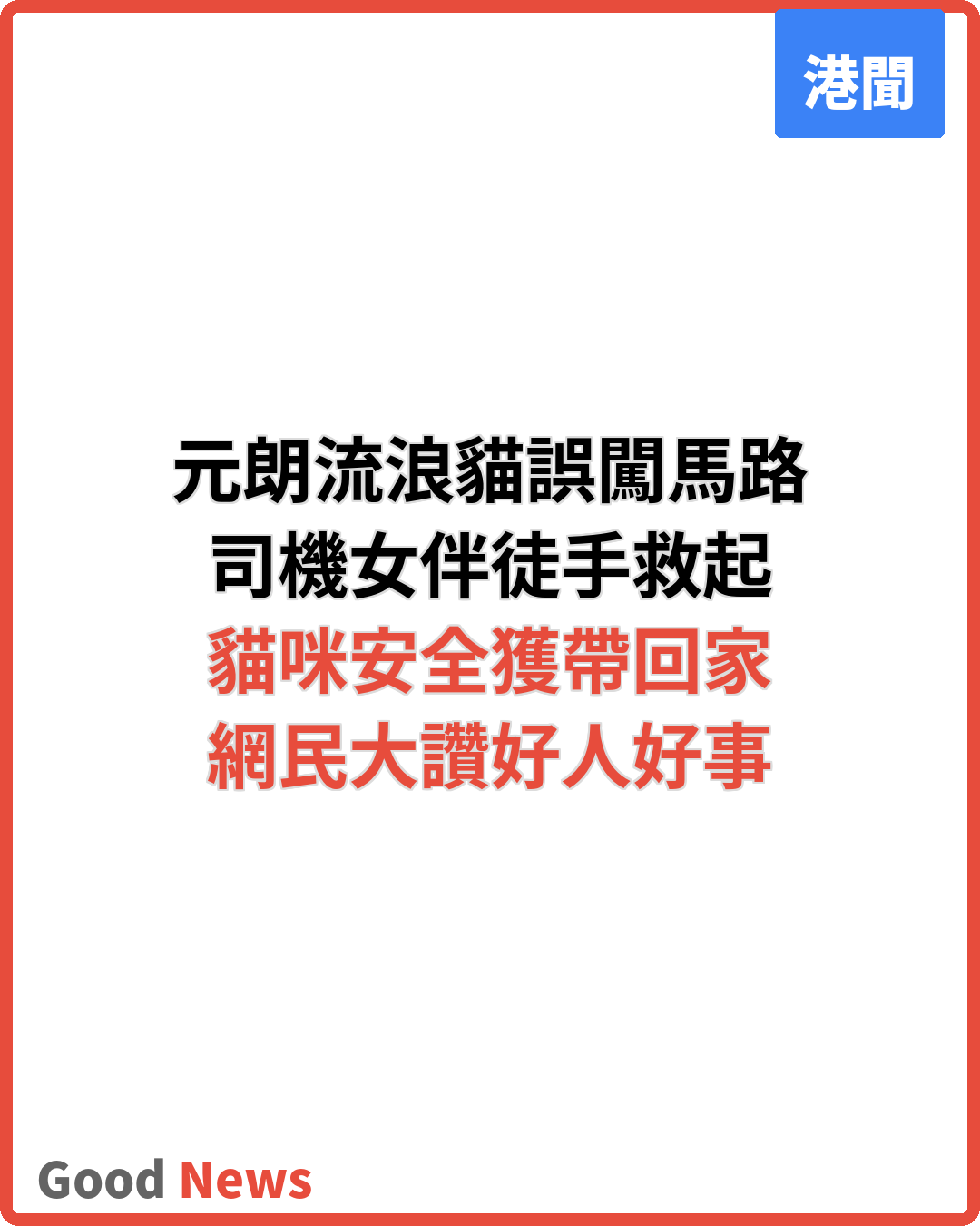 元朗流浪貓誤闖馬路 司機女伴徒手救起獲讚