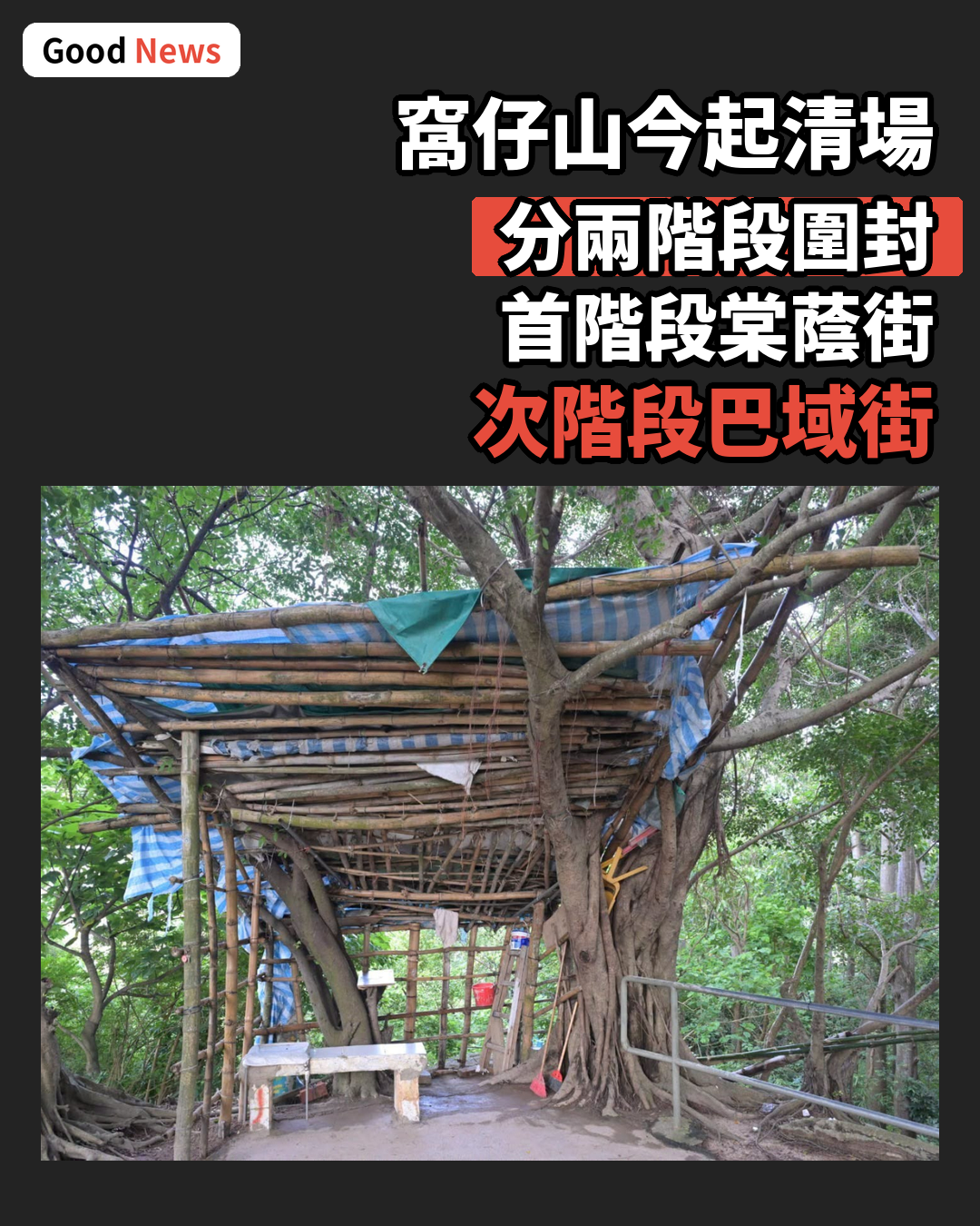 窩仔山非法佔官地今起清場 分兩階段圍封清理