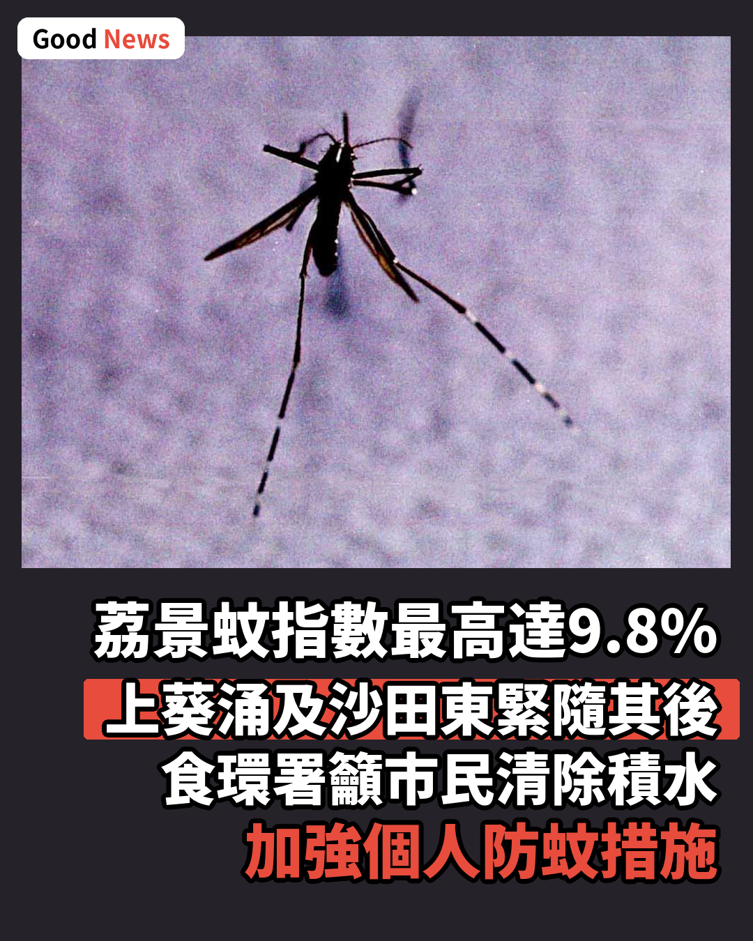 荔景白紋伊蚊指數最高達9.8% 食環署籲加強防蚊