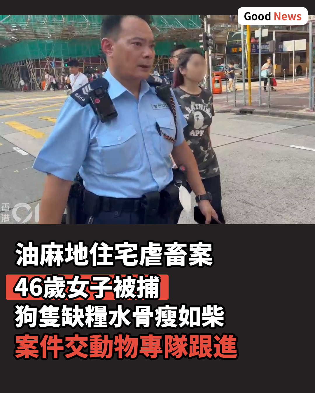 油麻地單位狗隻缺糧水 46歲女子涉虐畜被捕