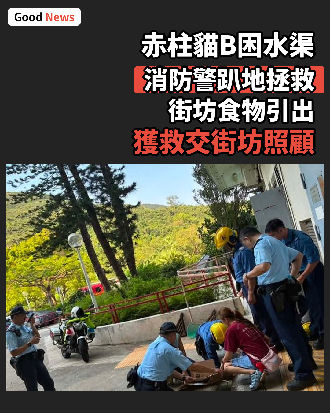 赤柱貓B困水渠 消防警趴地拯救 街坊出招引出獲救