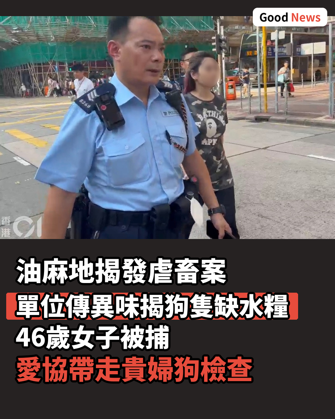 油麻地單位傳異味揭虐畜 46歲婦涉殘酷對待動物被捕