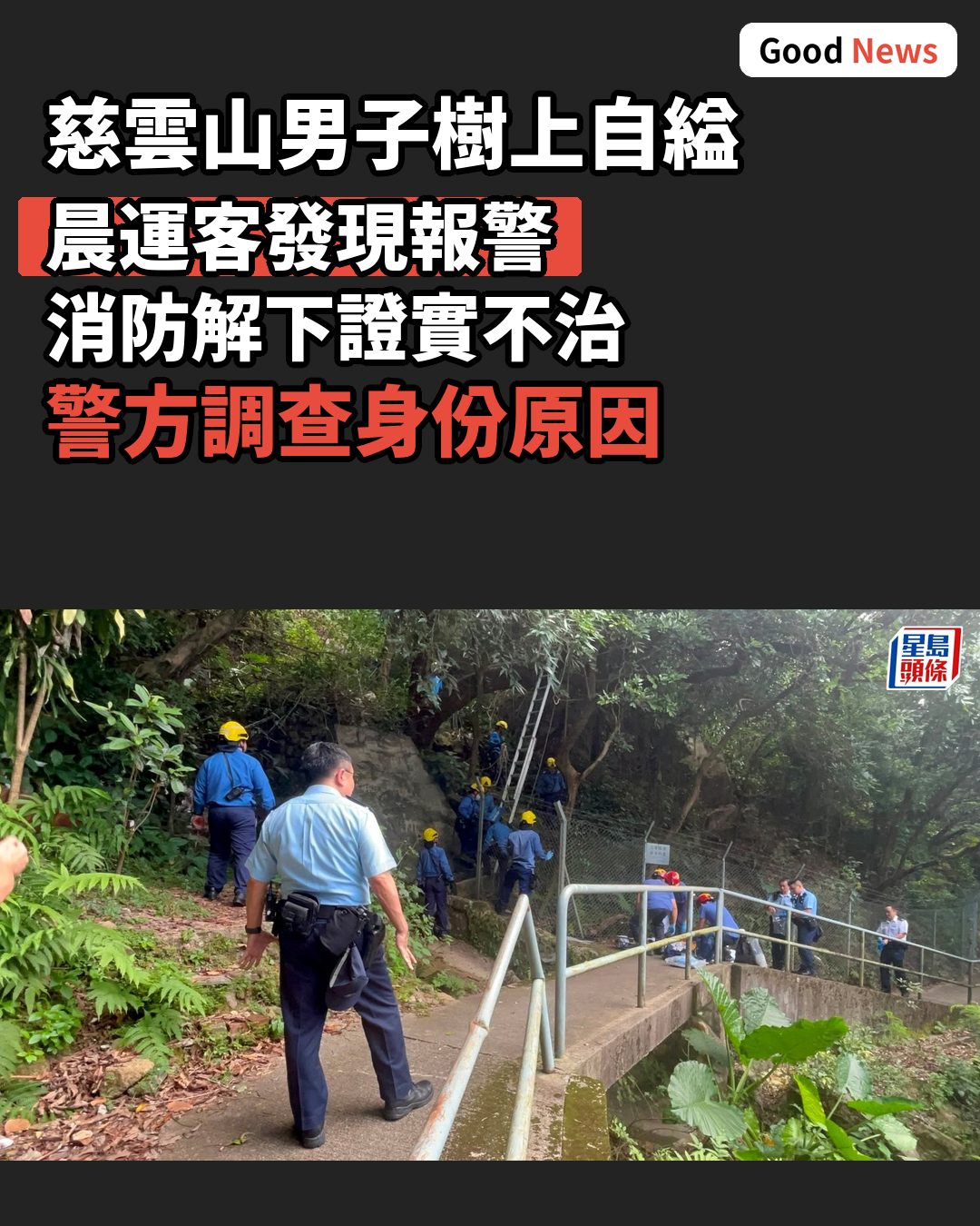慈雲山男子大樹自縊當場不治