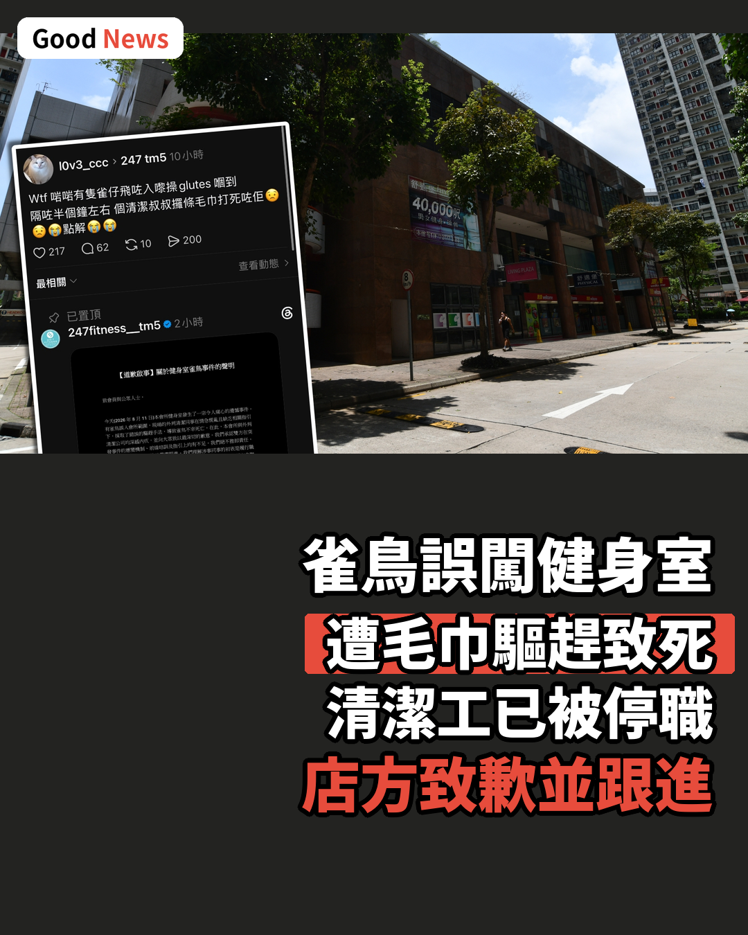雀鳥誤闖屯門健身室遭驅趕亡 清潔工停職