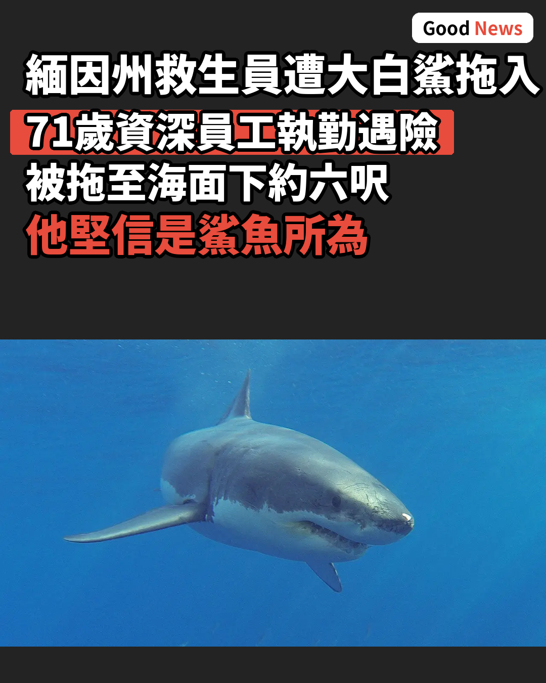緬因州資深救生員遭大白鯊拖入水下險死還生