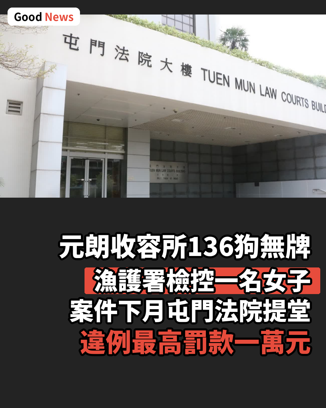 元朗收容所136狗無牌 漁護署檢控女子