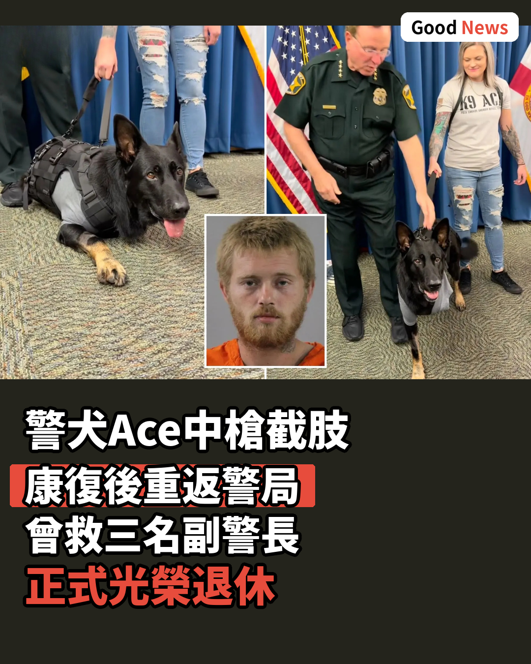 佛州警犬中槍截肢後重返崗位獲英雄式歡迎