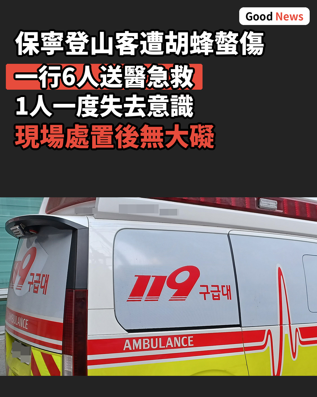 忠南保寧登山客6人遭胡蜂螫傷 1人一度失去意識