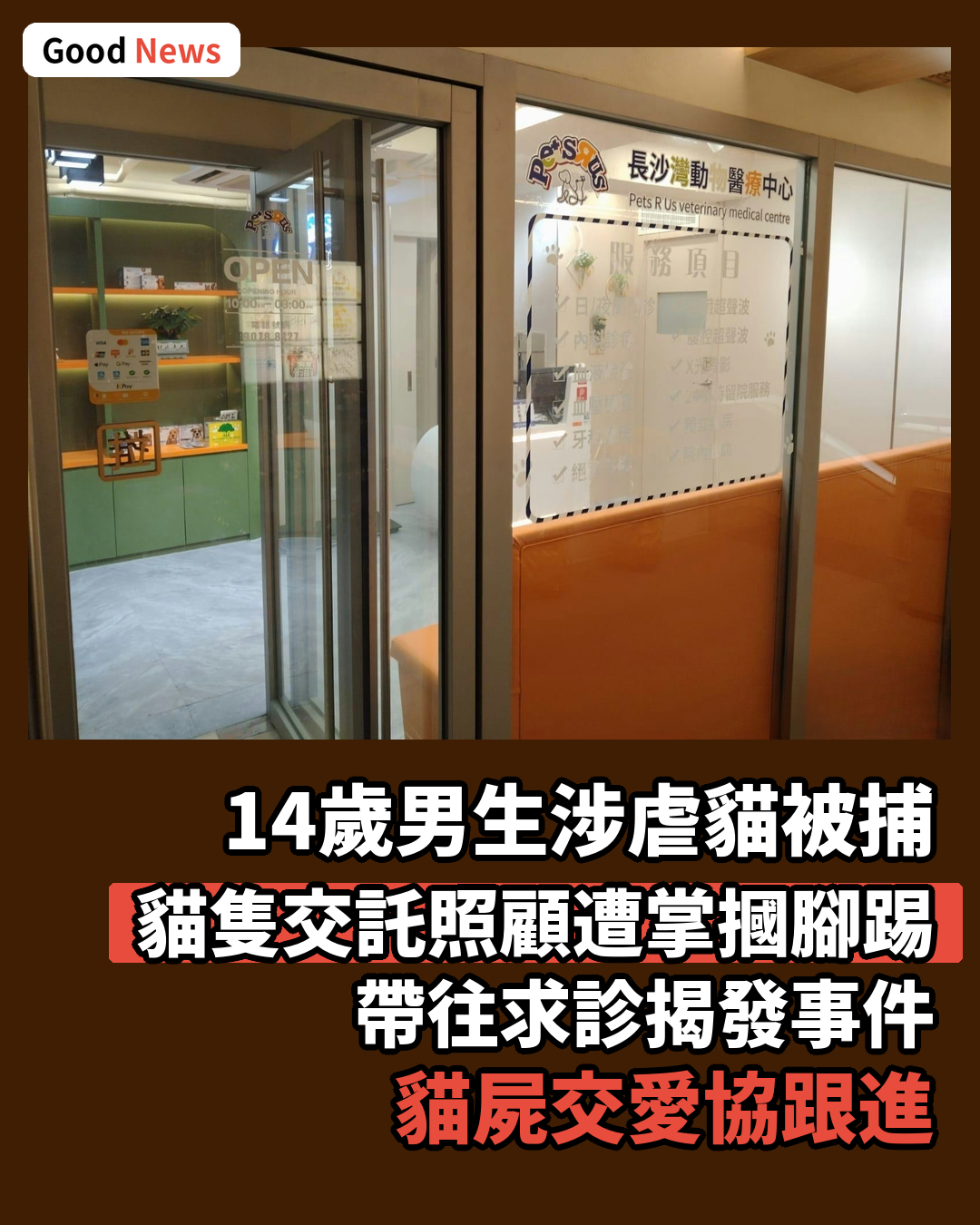 14歲男生涉虐貓致死被捕 起司貓交託照顧遭掌摑腳踢
