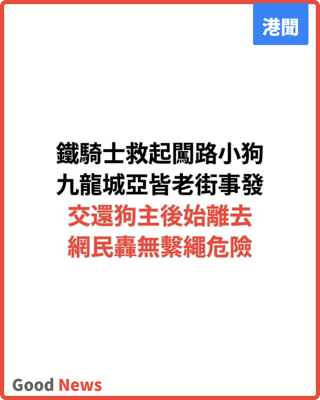 九龍城小狗闖馬路 鐵騎士停車救起 狗主疑無繫繩捱轟