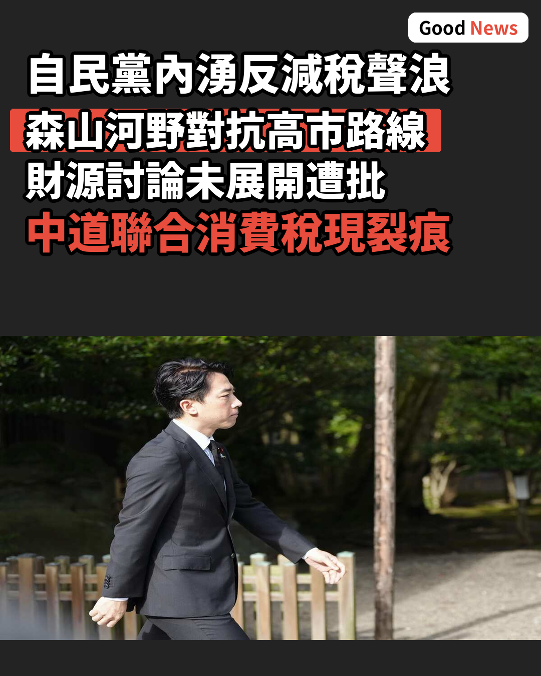 自民黨內湧現反減稅民粹主義 森山河野對抗高市