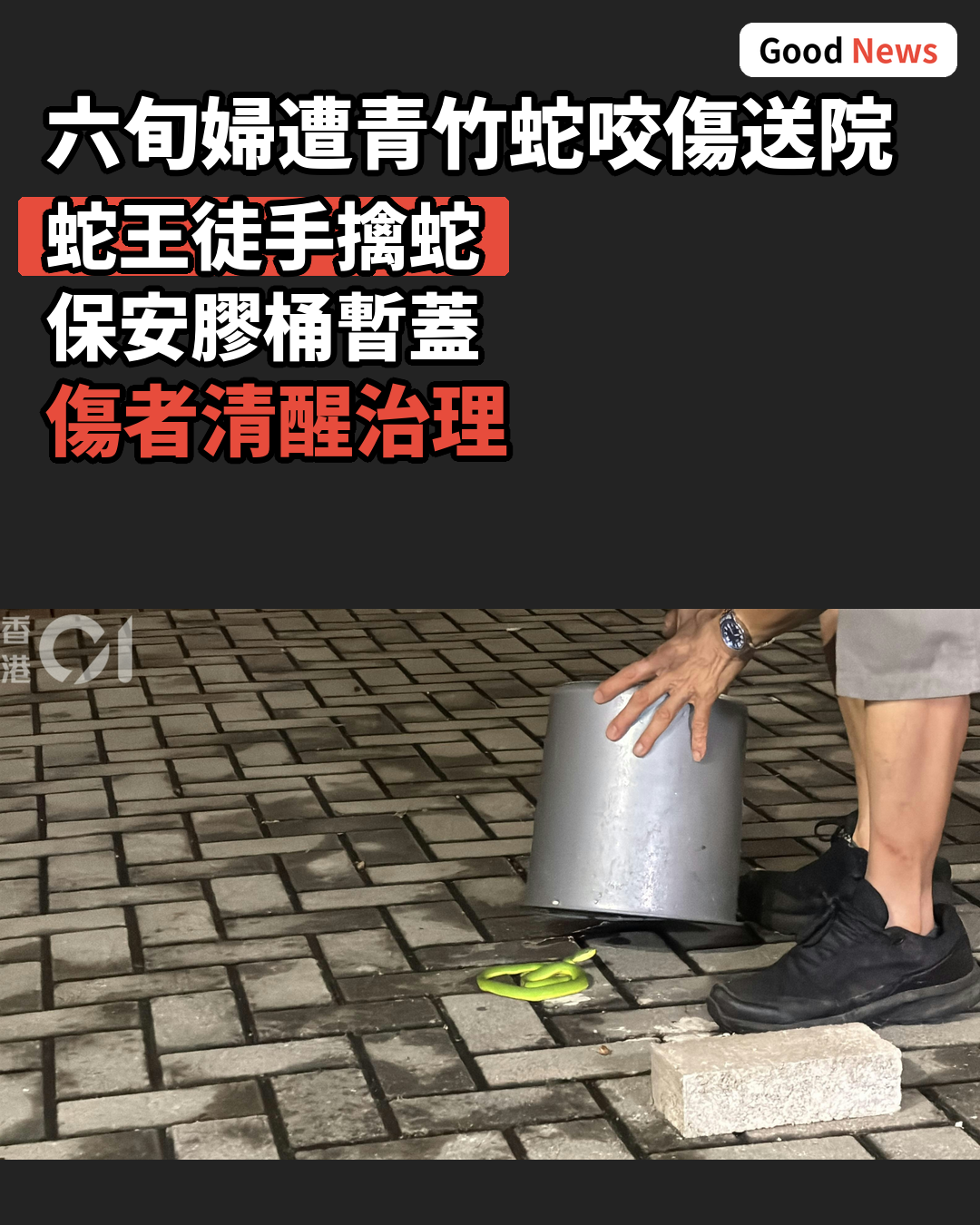 黃大仙橫頭磡邨女途人遭青竹蛇咬傷送院