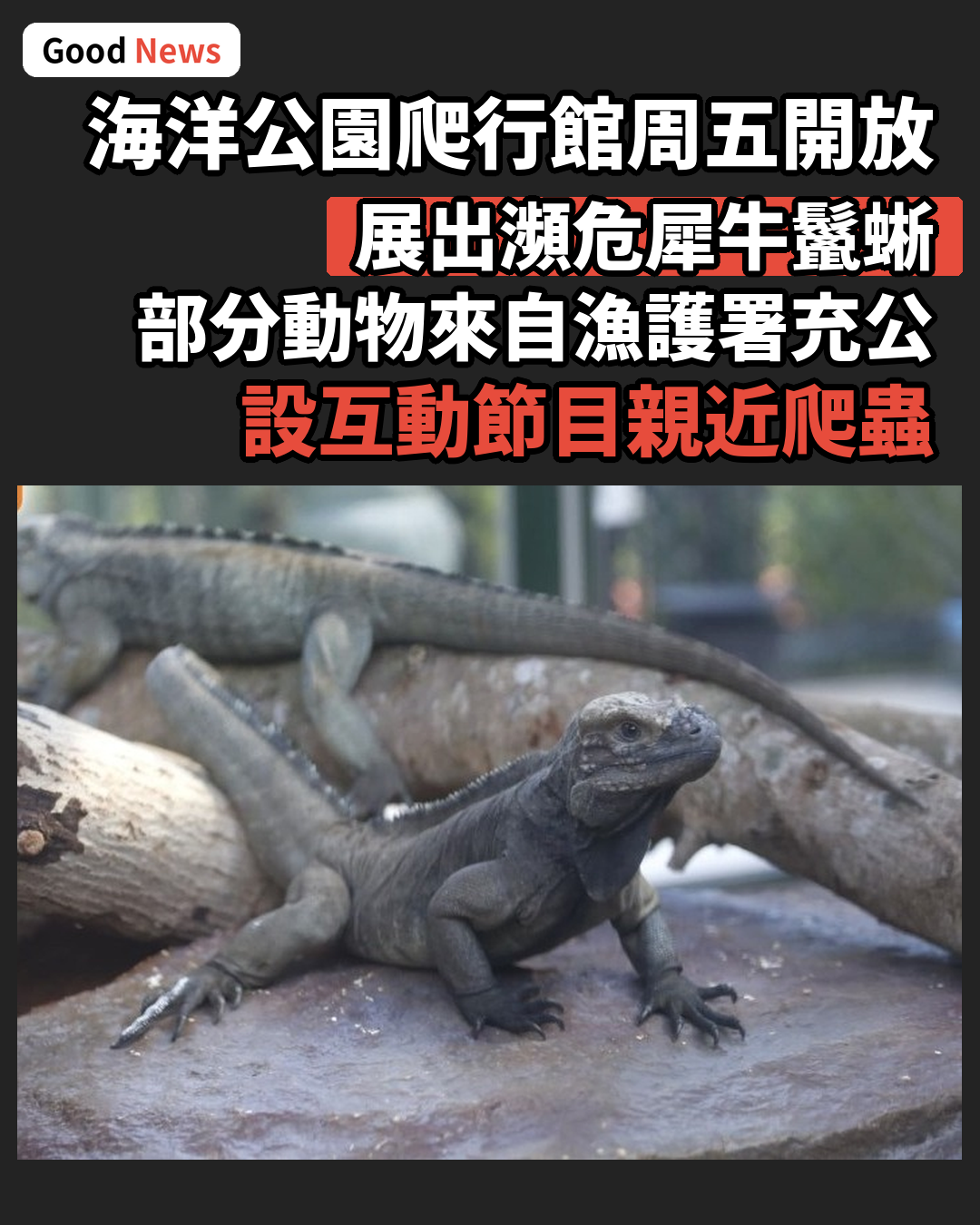 海洋公園爬行探索基地周五開幕　展出多種瀕危物種