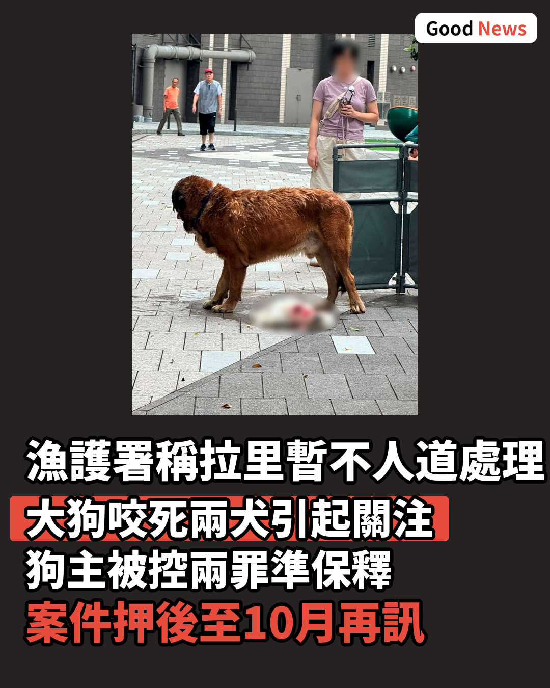 元朗大狗咬斃兩犬 漁護署稱暫不人道處理
