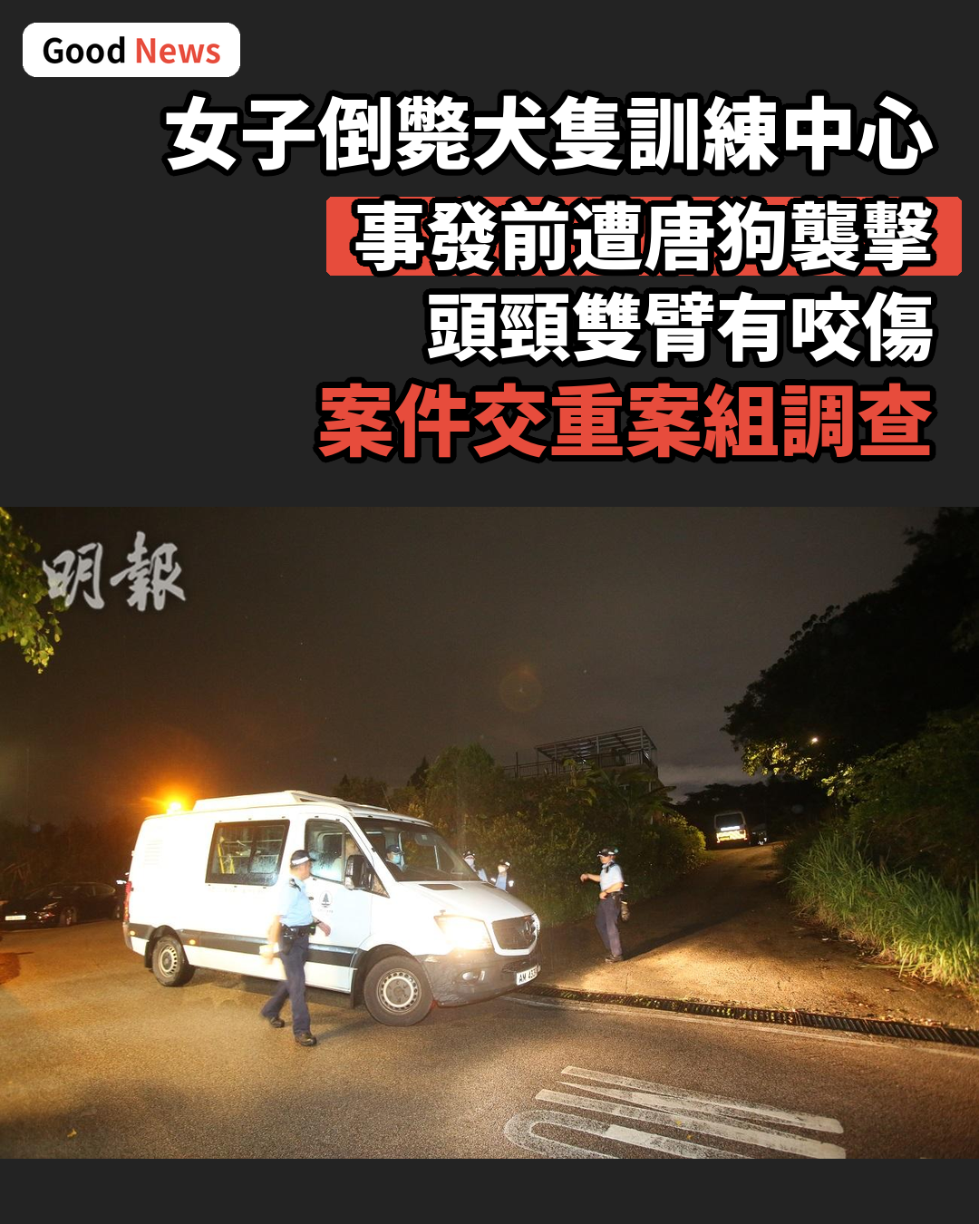女子倒斃打鼓嶺犬隻訓練中心　事發前遭唐狗襲擊